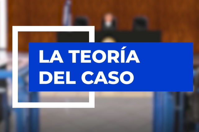 Teoría del Caso