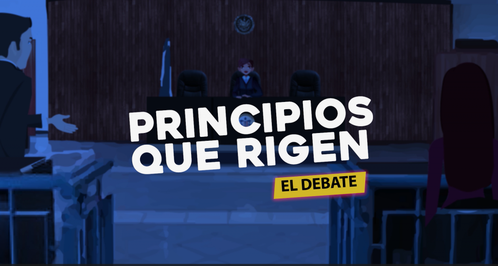 Principios que rigen el debate